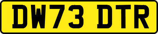 DW73DTR