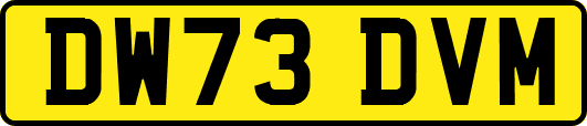 DW73DVM
