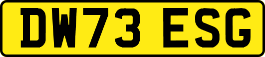 DW73ESG