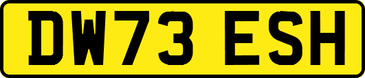 DW73ESH