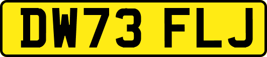 DW73FLJ