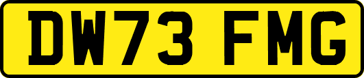 DW73FMG