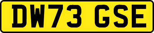 DW73GSE