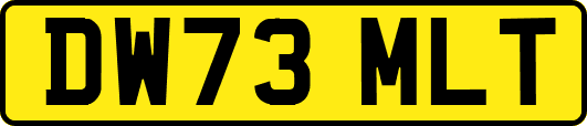 DW73MLT