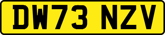 DW73NZV