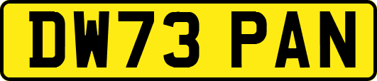 DW73PAN