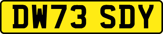 DW73SDY