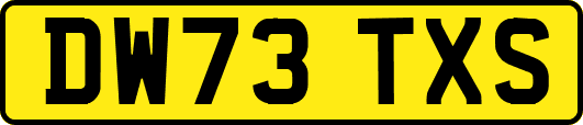 DW73TXS