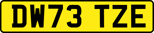 DW73TZE