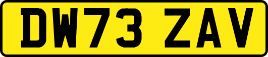 DW73ZAV