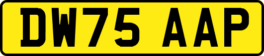 DW75AAP