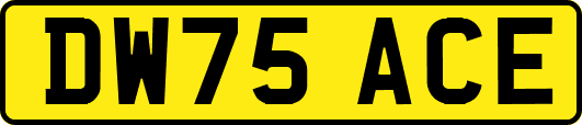 DW75ACE