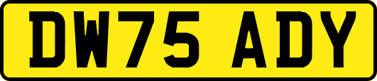 DW75ADY