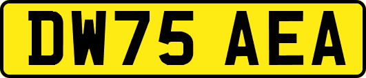 DW75AEA