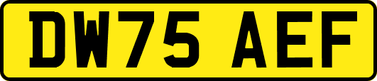 DW75AEF