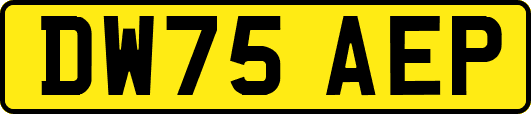 DW75AEP