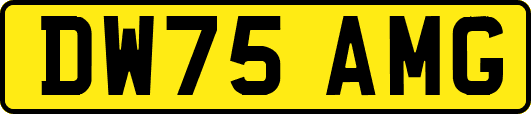 DW75AMG