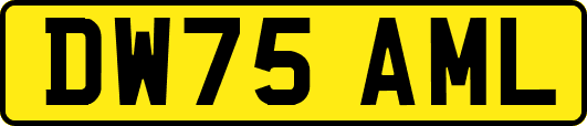 DW75AML