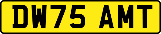 DW75AMT
