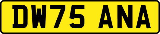 DW75ANA