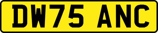 DW75ANC