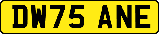 DW75ANE