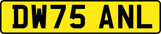 DW75ANL