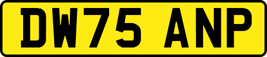 DW75ANP