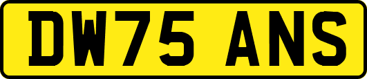 DW75ANS