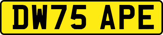 DW75APE