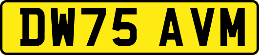 DW75AVM