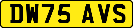 DW75AVS