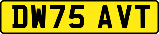 DW75AVT