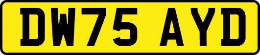 DW75AYD