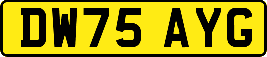 DW75AYG