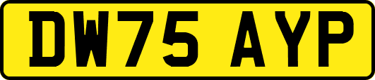 DW75AYP