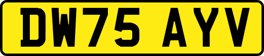DW75AYV