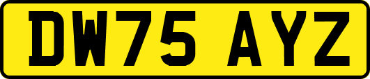 DW75AYZ
