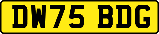 DW75BDG