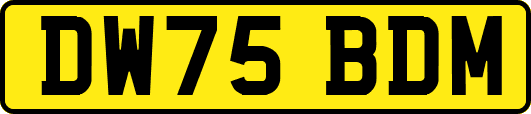 DW75BDM