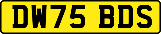 DW75BDS