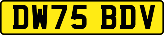 DW75BDV
