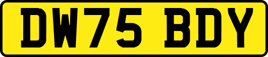 DW75BDY