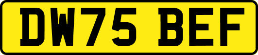 DW75BEF