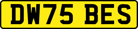 DW75BES