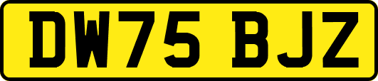 DW75BJZ