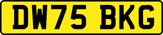 DW75BKG