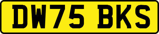 DW75BKS