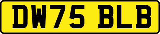 DW75BLB