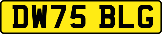 DW75BLG